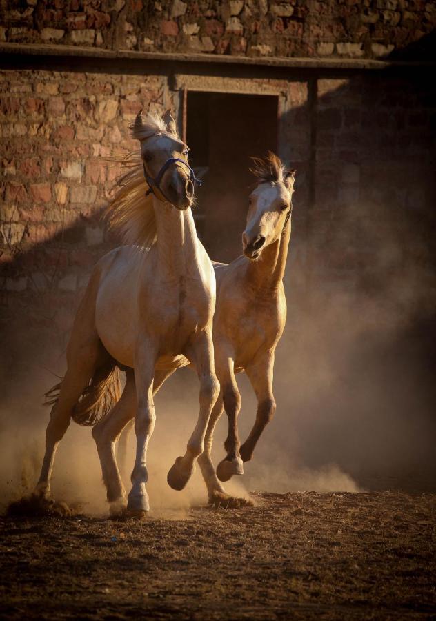 Bhanwar Vilas Palace Karauli Esterno foto